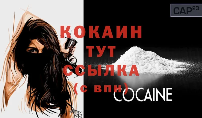 Cocaine FishScale  дарнет шоп  mega как войти  Комсомольск 