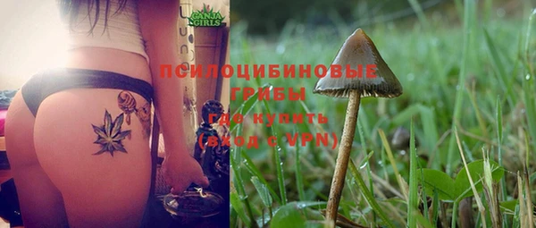 PSILOCYBIN Михайлов