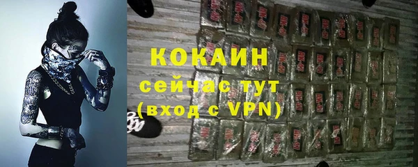 PSILOCYBIN Михайлов