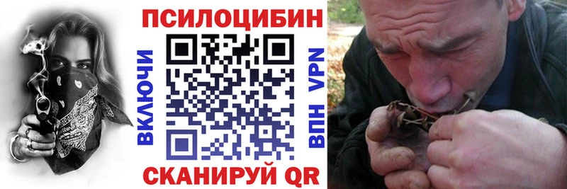 площадка формула  закладки  Комсомольск  Галлюциногенные грибы Cubensis 